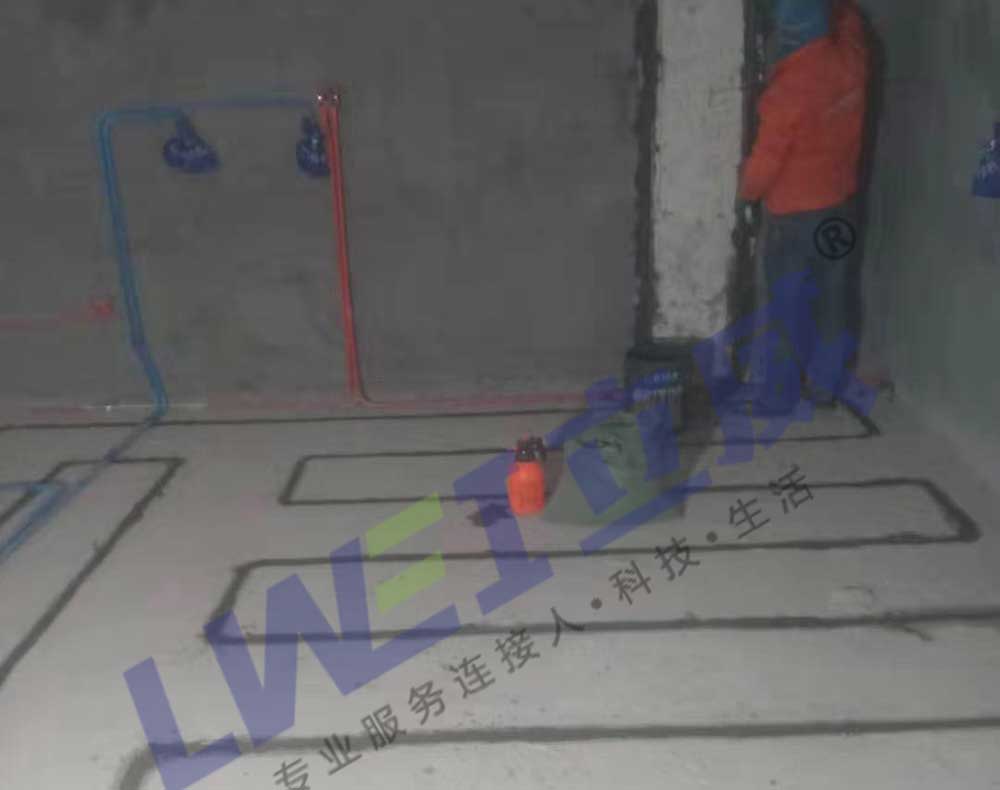 温州市海德公园别墅680平米防潮公司